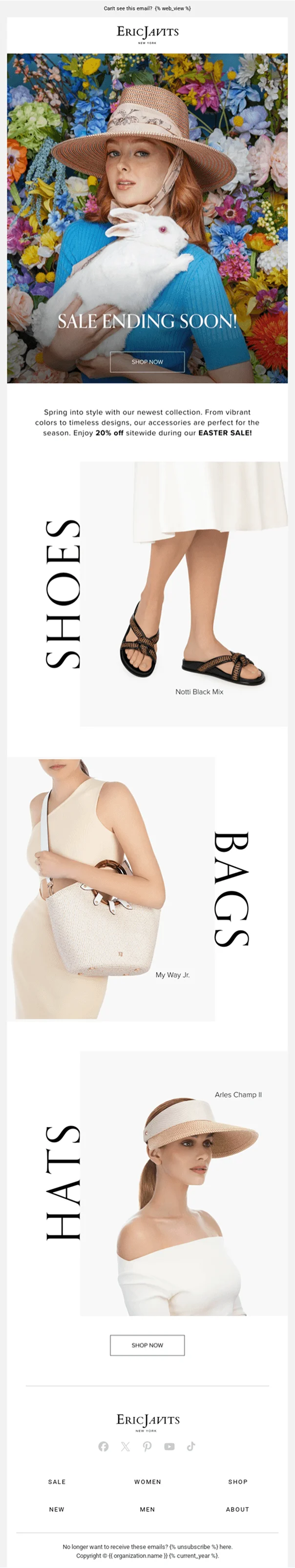 Eric Javits email design